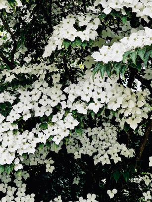 Easter lasts 50 days. Here are 12 ways to keep celebrating