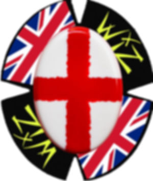 WIZ FLAG KNEE SLIDERS LEATHERS PUCKS MOTOGP BSB WSB ISLE OF MAN IOM TT RACES RACERS RACING KNEEDOWN APLINESTARS DAINESE HRC