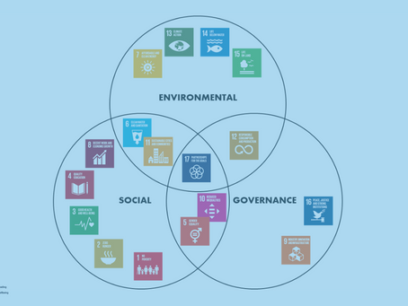 ESG Reporting: nice to have of must have? Kies voor duurzame waarde.