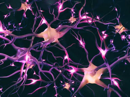 Neurônios: Novas Descobertas e Implicações para o Futuro