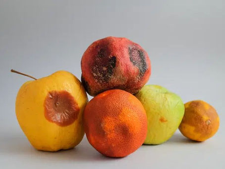 Quando o Alimento Estraga – Culpa da Química!