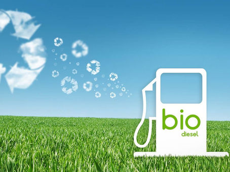 Do óleo ao combustível: a química sustentável do Biodiesel