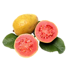 guayaba 1_edited.png