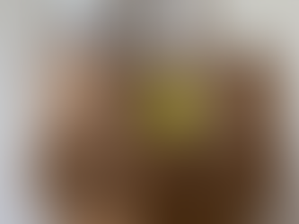 3T Monogram Distressed Metallic Tote Bags 4sale