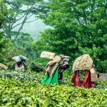 aboodi-vesakaran-8--DZokUCkM-unsplash.jpeg