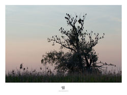 tobiashug-fotografie_39