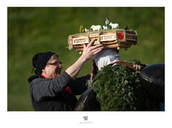 tobiashug-fotografie_52