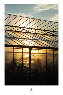 tobiashug-fotografie_7