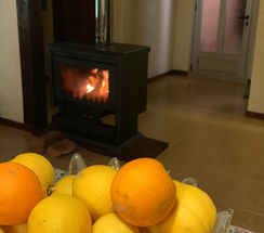 Wohnhaus mit Ferienanlage - Leben und Geld verdienen an einem Ort