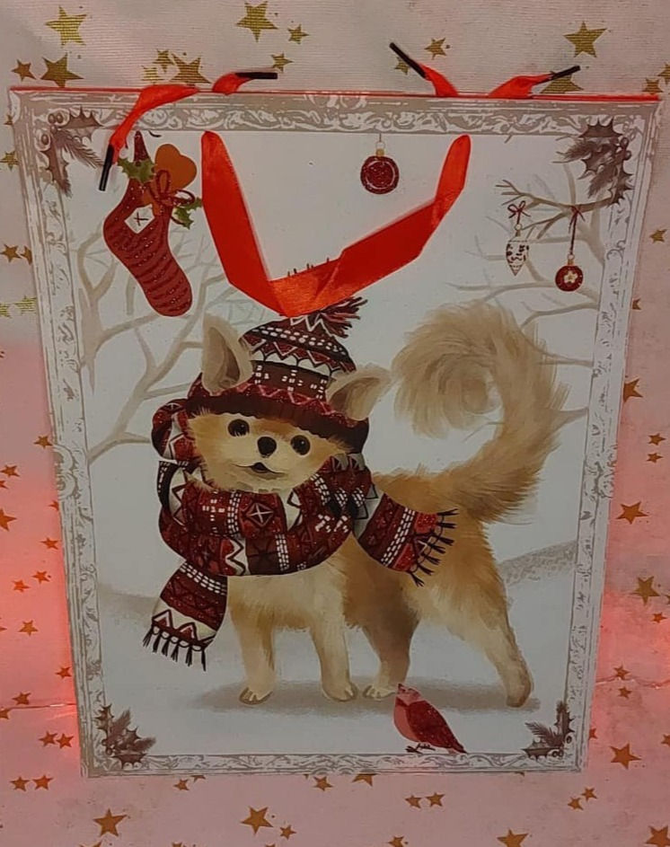 Thumbnail: Christmas bag