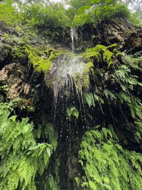 Image showcasing the waterfall at Krause Springs