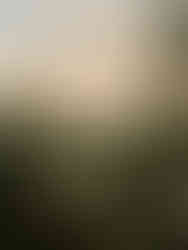 Image showing scenic views along the Roy and Ann Butler trail