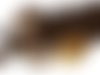 Підвищення акцизів на алкоголь може знизити кількість асоційованих випадків раку в Європі