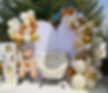 GenderReveal_Bear_Arch_Simple2 copy.jpg