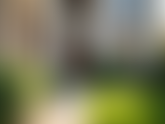 Essential Landlord Maintenance Solutions for Property Success