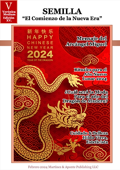 Screen Shot 2024-02-06 at 12.04.43 PM.png