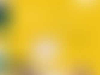 Big changes are here: What the Employment Law shake-up means for NZ Employers