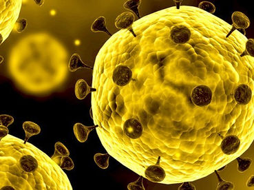Coronavirus - Employer FAQs