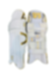 Cricket batting leg guard GOLD EDITION