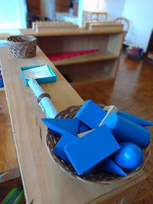 IMG_20220825_134718288_PORTRAIT.jpg
