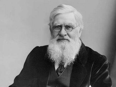 Puntos importantes de Darwin