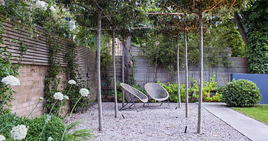 Tabletop trees set in gravel by Simon Orchard Garden Design