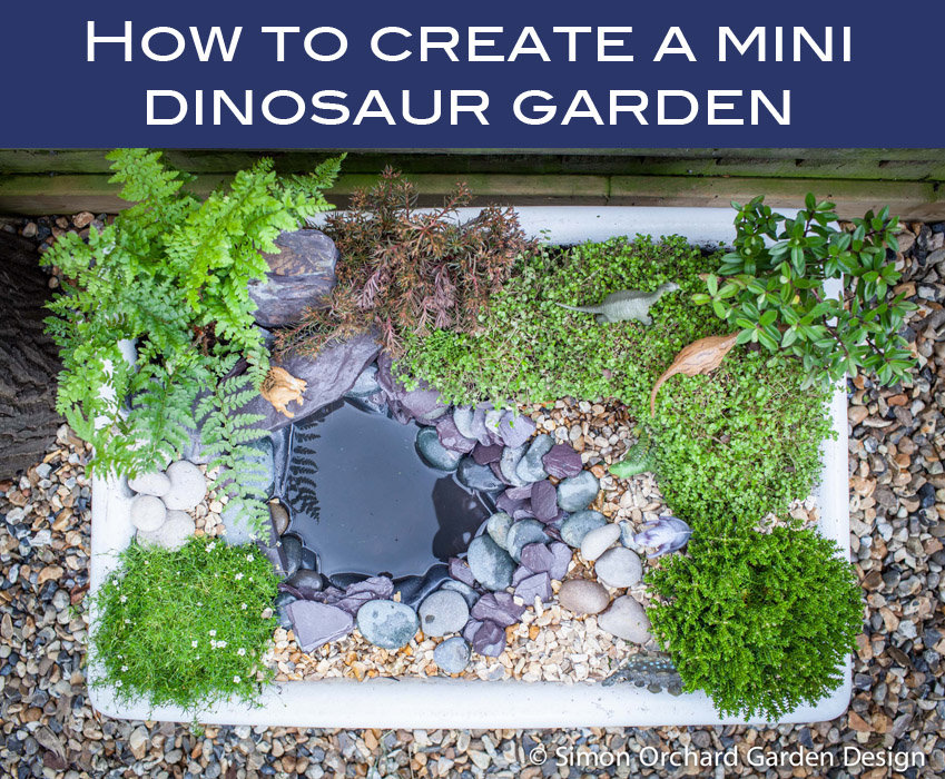 How to create a mini dinosaur garden Simon Orchard Garden Design