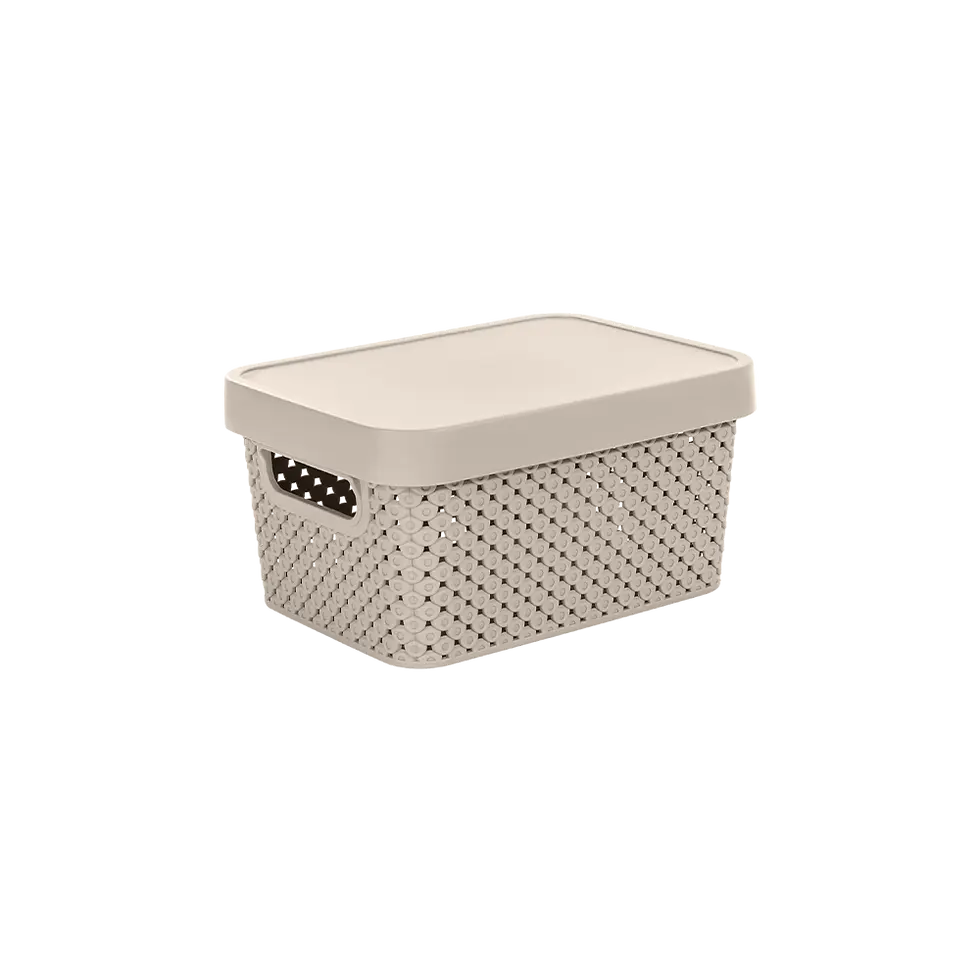 Caixa Organizadora Fendi com Tampa - 2L