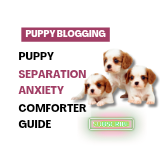 Heartbeats & Hugs: A Gentle Guide to Reducing Puppy Separation Anxiety