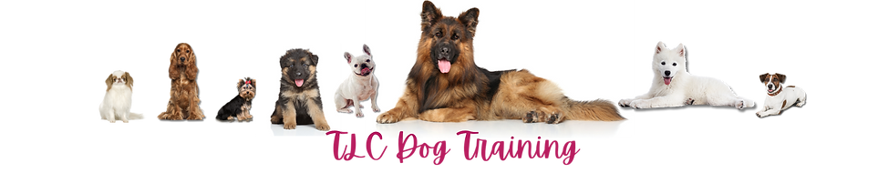 TLC Dog Training strip.png