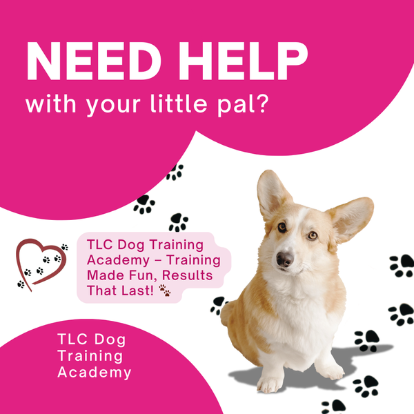 TLC Dog Training Academy