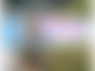 Dog Walker Wellbeing