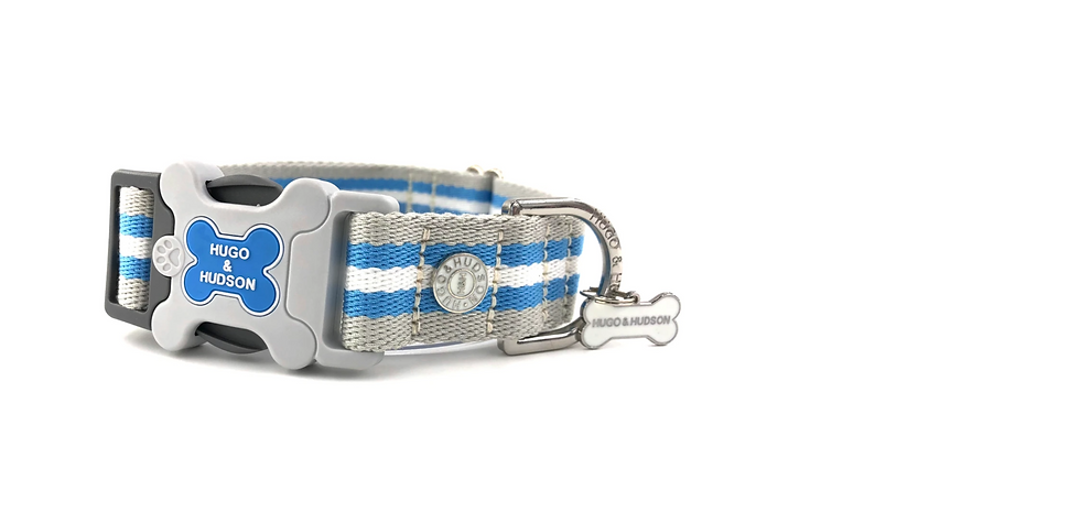 Thumbnail: Hugo &Hudson Baby Blue Classic Stripe Collar