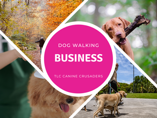 A Dog Walker’s Guide to Self-Assessment This January (With Links)