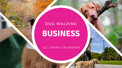 Pricing for Experienced Dog Walkers: Charging What Your Business Is Truly Worth
