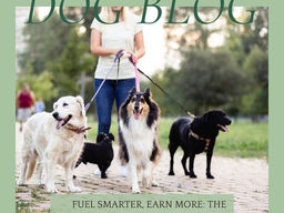 Saving Money on Fuel (and Running Your Dog Business Smarter)