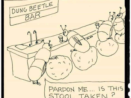 50 words for Shit. Dung: The coral reefs of the Moor.