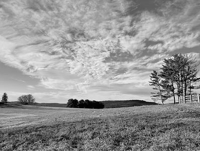 IMG_8767-2_layered copy.jpg