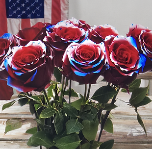 Celebrate Americas 250th Birthday.png
