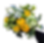 Playful Spirt Bouquet