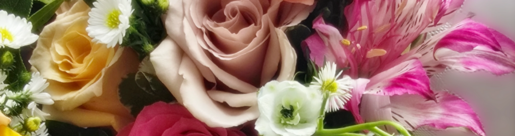 Colorful Summer Bouquet_edited_edited.png