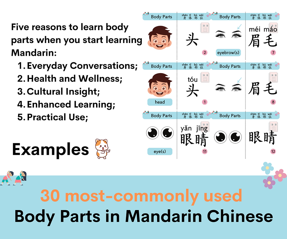Thumbnail: 60 flashcards with 30 most-commonly used body parts