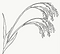 IMG_0274_edited.png