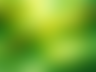 Innex Digest Abril 26