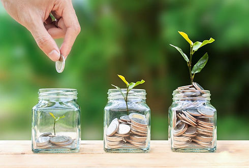 Sustainability Savings.jpeg