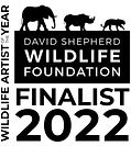 Clare Parkes Wildlife Artist of the Year finalist