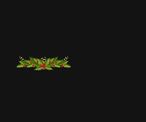Diamond Showcase Don't300x250-px.gif