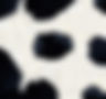cow-skin-texture-2022-12-10-01-11-40-utc.jpg
