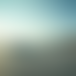 Técnicas de Gestión del Duelo para Personal Aeronáutico