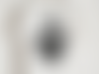 Tim Baca I Like’em Thick shirt